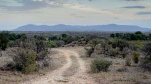 Preview wallpaper trail, bushes, horizon, mountains