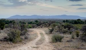 Preview wallpaper trail, bushes, horizon, mountains