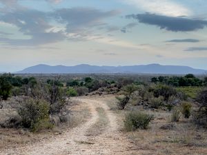 Preview wallpaper trail, bushes, horizon, mountains