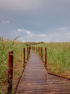 Preview wallpaper trail, field, grass, nature