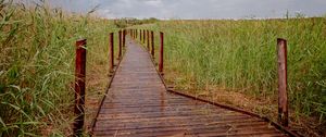 Preview wallpaper trail, field, grass, nature