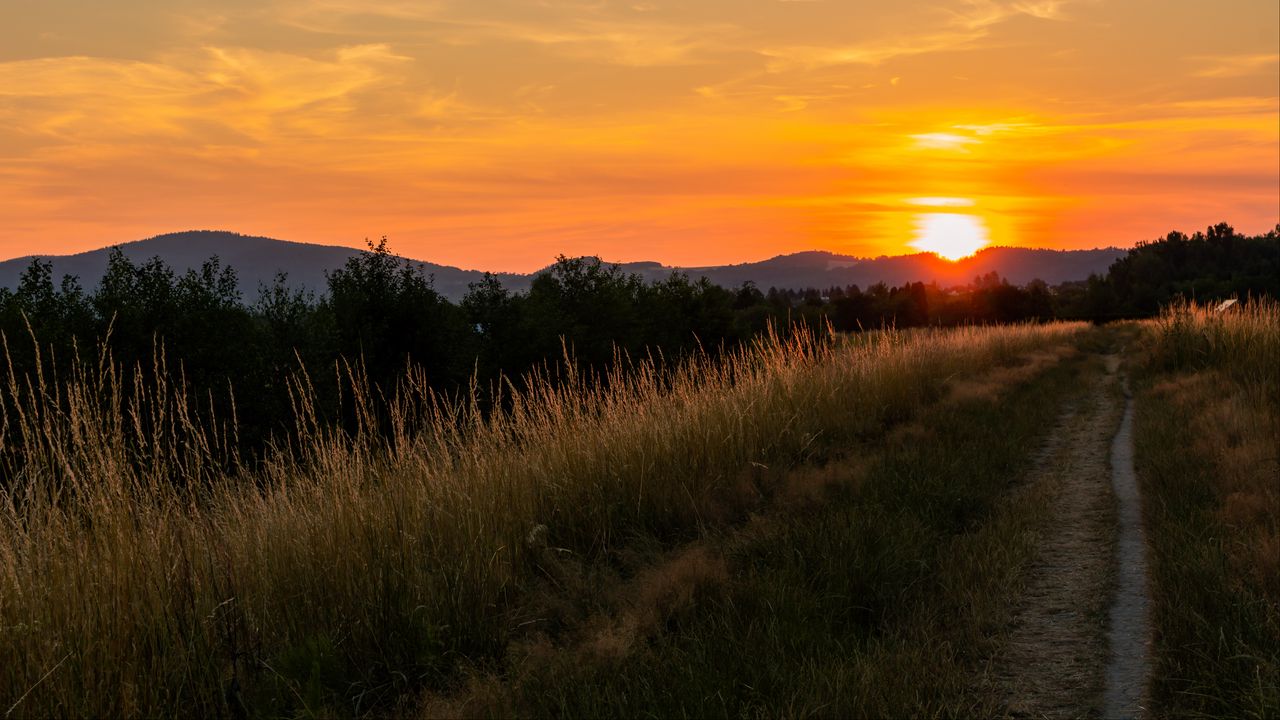 Wallpaper trail, field, sunset, nature