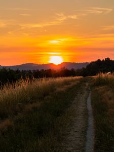 Preview wallpaper trail, field, sunset, nature