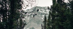Preview wallpaper trail, forest, mountains, trees, landscape