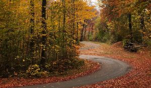 Preview wallpaper trail, forest, trees, leaves, autumn, turn