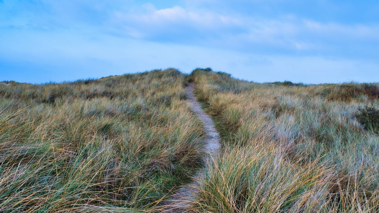 Wallpaper trail, grass, clouds, sky