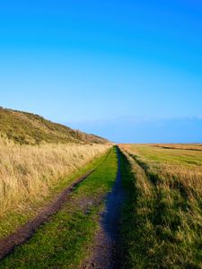 Preview wallpaper trail, grass, field, nature