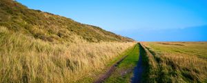 Preview wallpaper trail, grass, field, nature