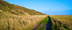 Preview wallpaper trail, grass, field, nature