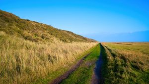 Preview wallpaper trail, grass, field, nature