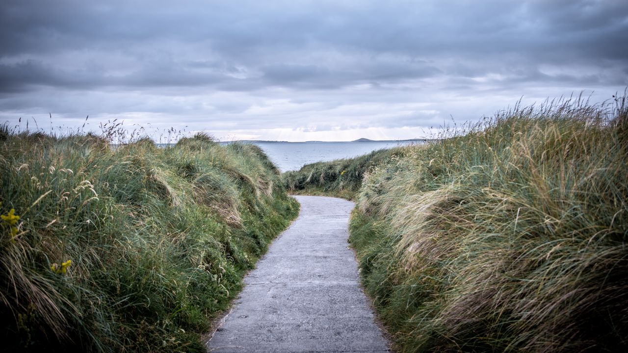 Wallpaper trail, grass, sea, landscape