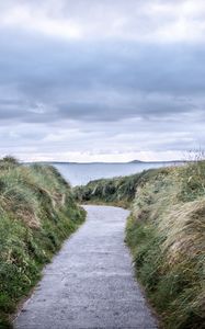 Preview wallpaper trail, grass, sea, landscape
