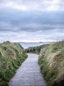 Preview wallpaper trail, grass, sea, landscape