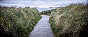 Preview wallpaper trail, grass, sea, landscape