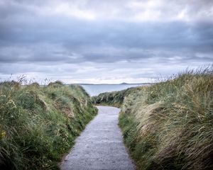 Preview wallpaper trail, grass, sea, landscape
