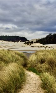 Preview wallpaper trail, grass, shore, trees