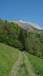 Preview wallpaper trail, grass, trees, mountains