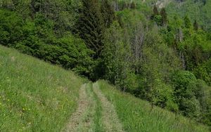 Preview wallpaper trail, grass, trees, mountains