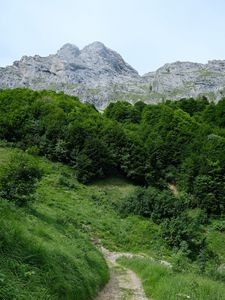 Preview wallpaper trail, grass, trees, mountains, landscape