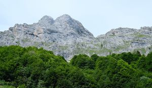 Preview wallpaper trail, grass, trees, mountains, landscape