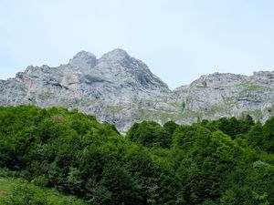 Preview wallpaper trail, grass, trees, mountains, landscape