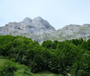 Preview wallpaper trail, grass, trees, mountains, landscape