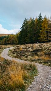 Preview wallpaper trail, grass, trees, forest, landscape