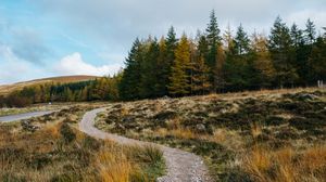 Preview wallpaper trail, grass, trees, forest, landscape