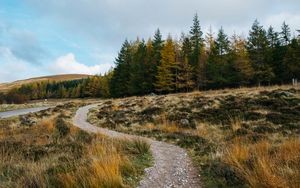 Preview wallpaper trail, grass, trees, forest, landscape