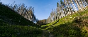 Preview wallpaper trail, hills, trees, landscape