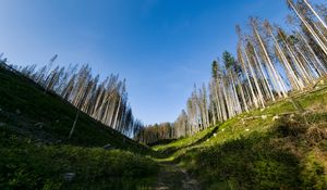 Preview wallpaper trail, hills, trees, landscape