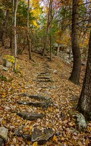 Preview wallpaper trail, leaves, trees, autumn