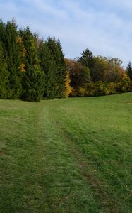 Preview wallpaper trail, meadow, grass, trees, landscape