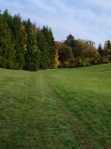 Preview wallpaper trail, meadow, grass, trees, landscape