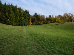 Preview wallpaper trail, meadow, grass, trees, landscape