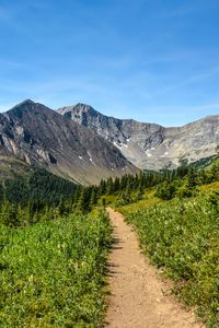 Preview wallpaper trail, mountains, trees, nature, landscape