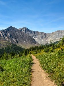 Preview wallpaper trail, mountains, trees, nature, landscape