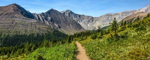 Preview wallpaper trail, mountains, trees, nature, landscape