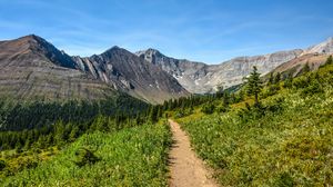 Preview wallpaper trail, mountains, trees, nature, landscape