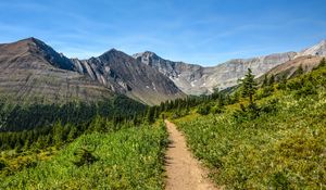 Preview wallpaper trail, mountains, trees, nature, landscape