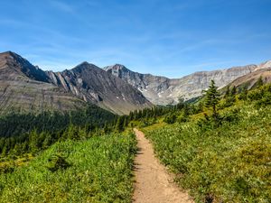 Preview wallpaper trail, mountains, trees, nature, landscape