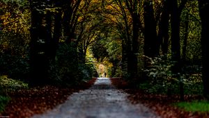 Preview wallpaper trail, park, silhouette, alone, nature