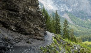 Preview wallpaper trail, rock, stones, mountains, trees