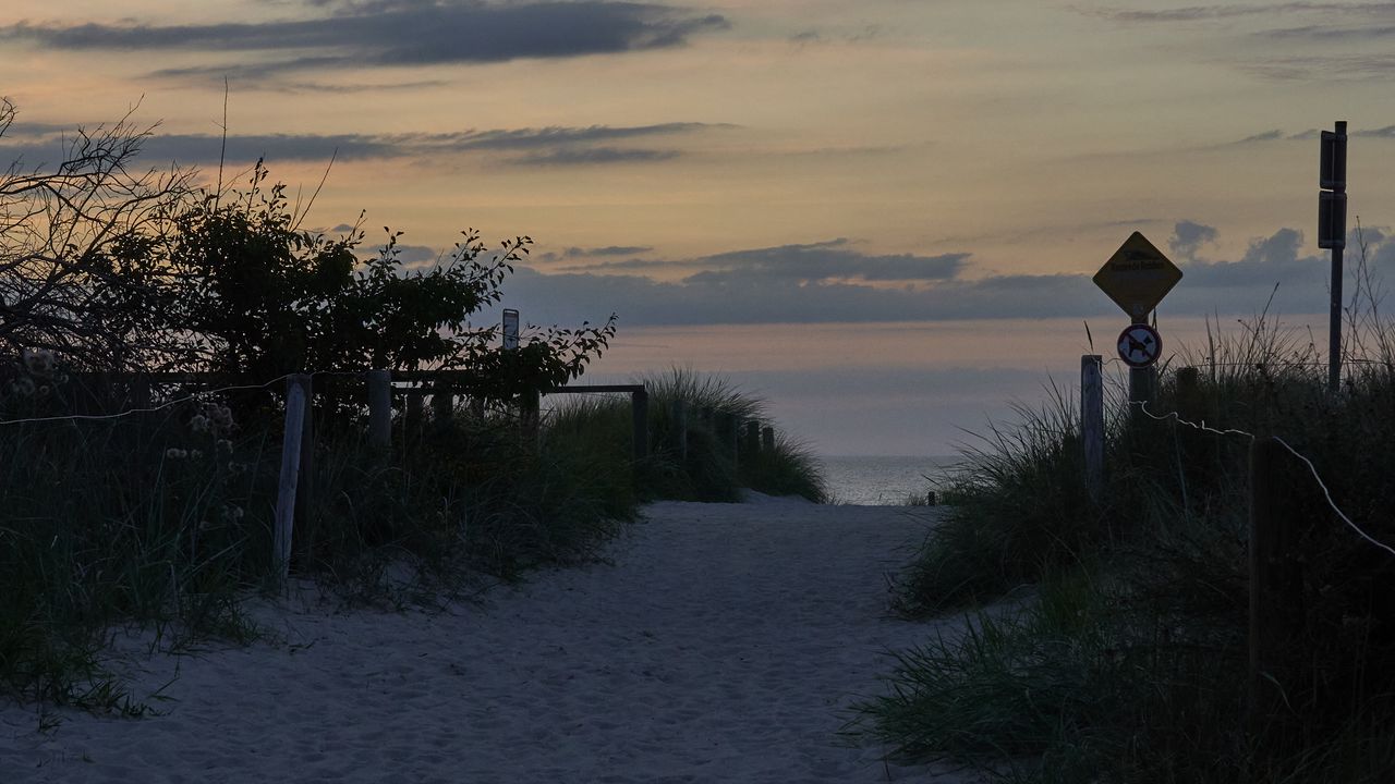 Wallpaper trail, sand, footprints, grass, sea, sky, nature