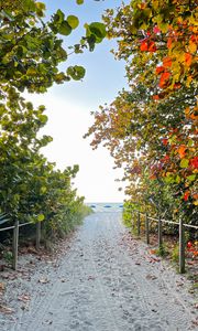 Preview wallpaper trail, sand, trees, fence, sea