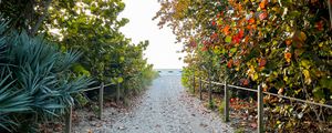 Preview wallpaper trail, sand, trees, fence, sea