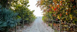 Preview wallpaper trail, sand, trees, fence, sea