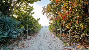 Preview wallpaper trail, sand, trees, fence, sea