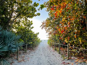 Preview wallpaper trail, sand, trees, fence, sea