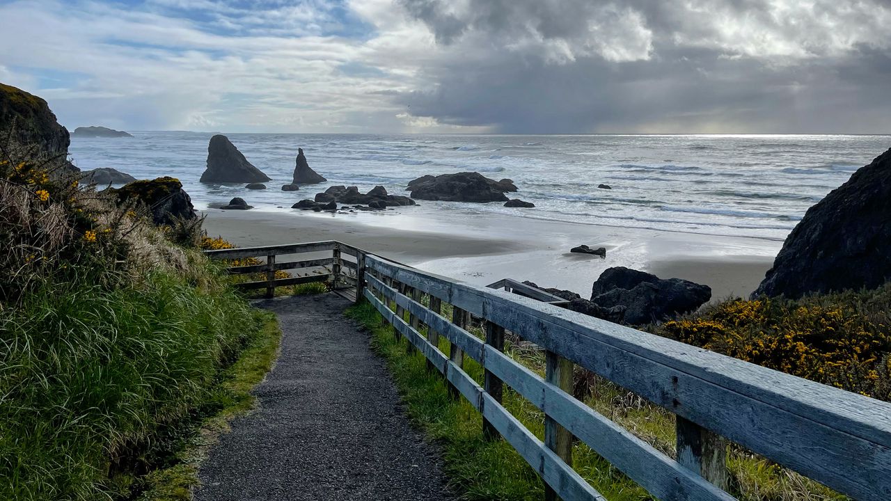 Wallpaper trail, sea, rocks, grass, nature hd, picture, image